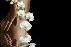 Body et Beaute